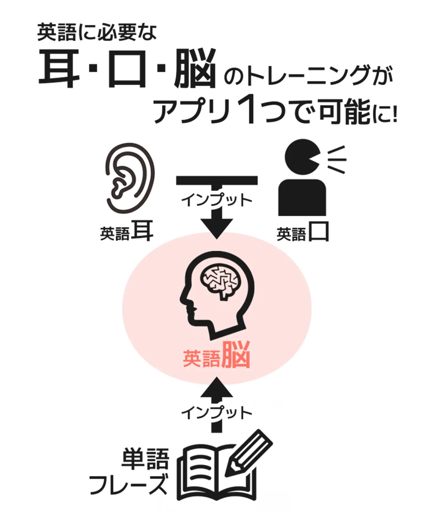 英語に必要な耳・口・脳のトレーニングがアプリ1つで可能に!
